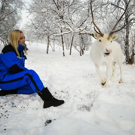 فندق Snow 3*