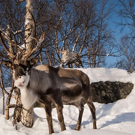 Snow 3* Kirkenes
