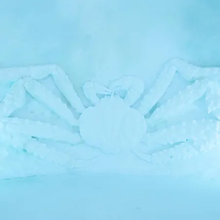 Snow Hotel